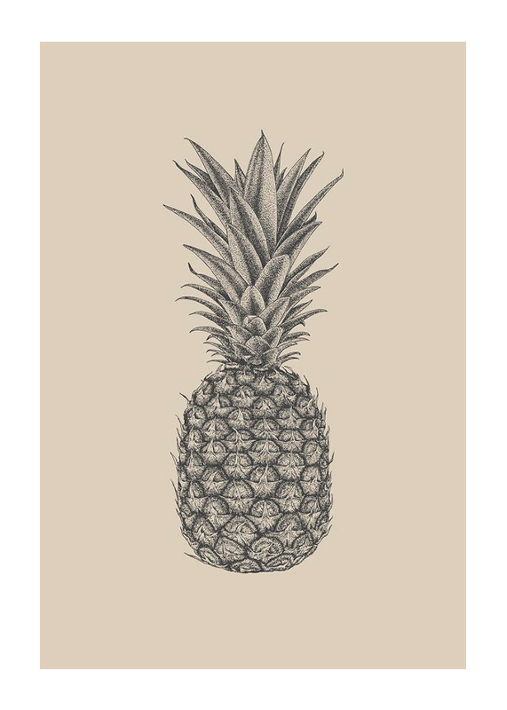 Pineapple Sketch-1