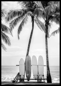 Surfing Boards On Beach-2