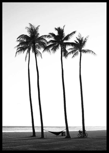 Palms On Beach-2