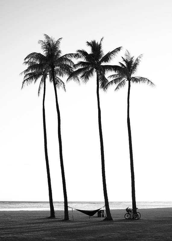 Palms On Beach-3
