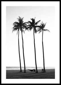 Palms On Beach-0