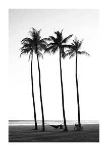 Poster Palms On Beach