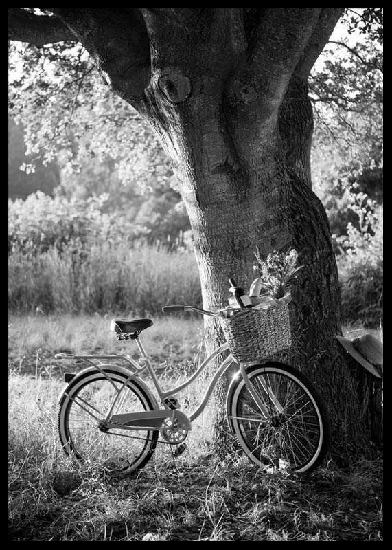 Bicycle With Picknick Basket-2
