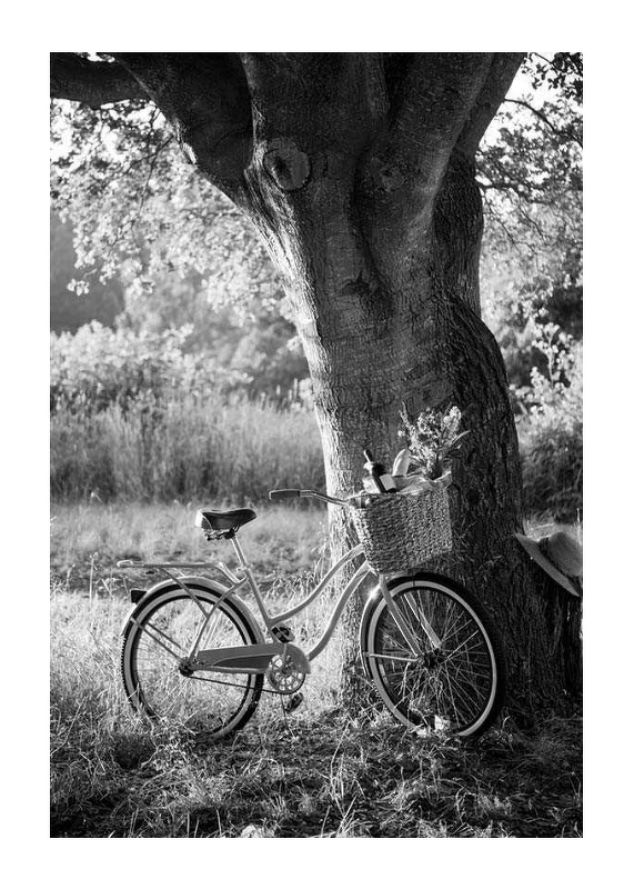Bicycle With Picknick Basket-1