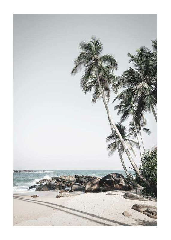 Anantara Palm Trees-1