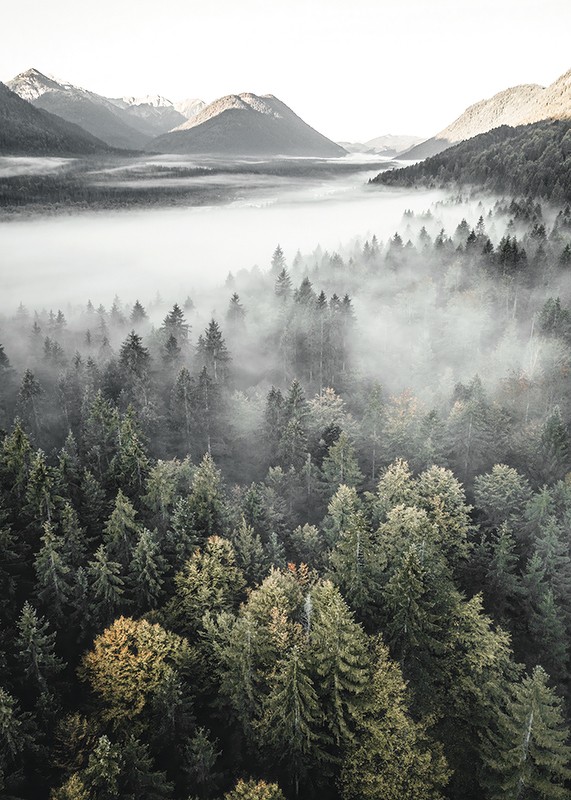 Misty Mountains-3