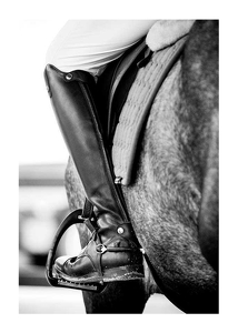 Poster Riding Boot