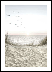 Seagulls Sandy Beach-0
