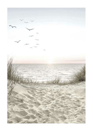 Poster Seagulls Sandy Beach