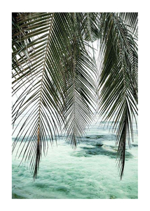 Poster Palm Curtain