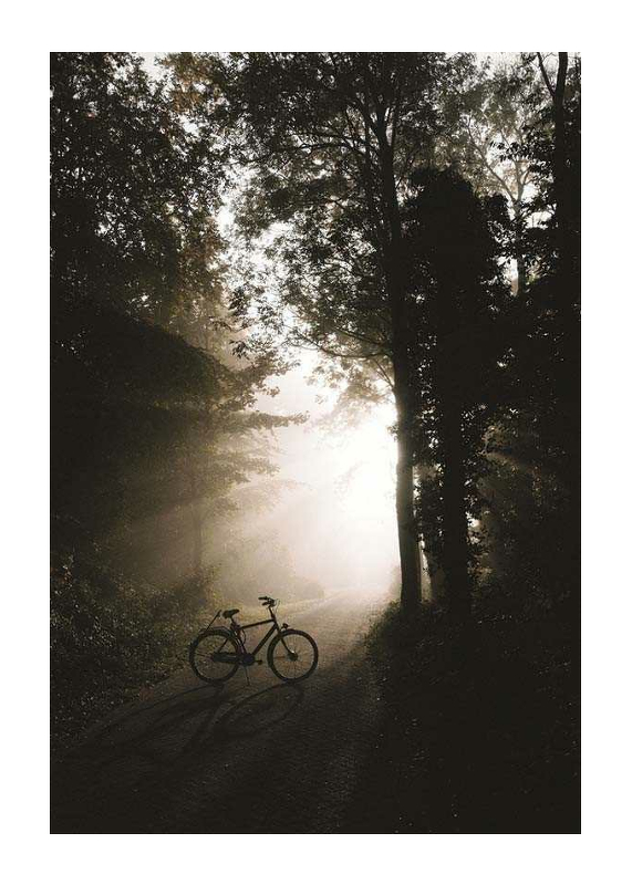 Bike In Forest-1