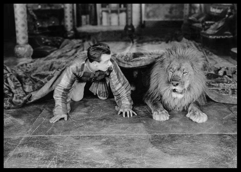Man And Lion-2