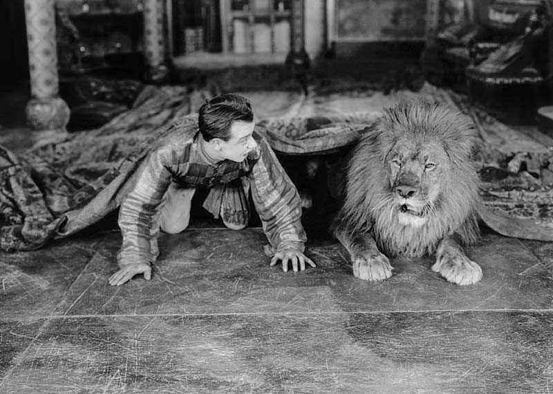 Man And Lion-3