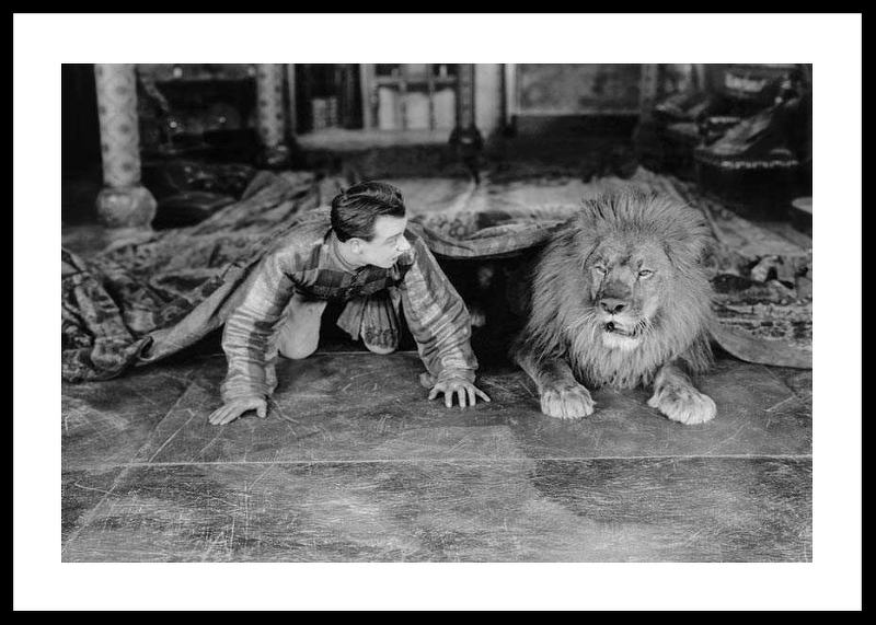 Man And Lion-0