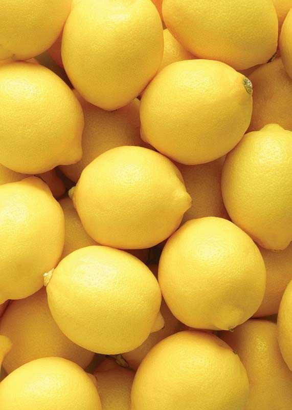 Lemons-3