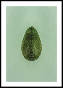 Avocado-0