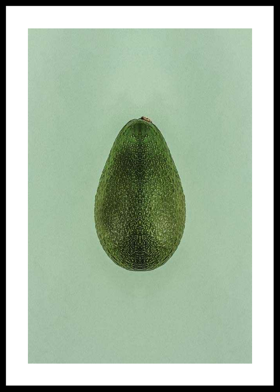 Avocado-0