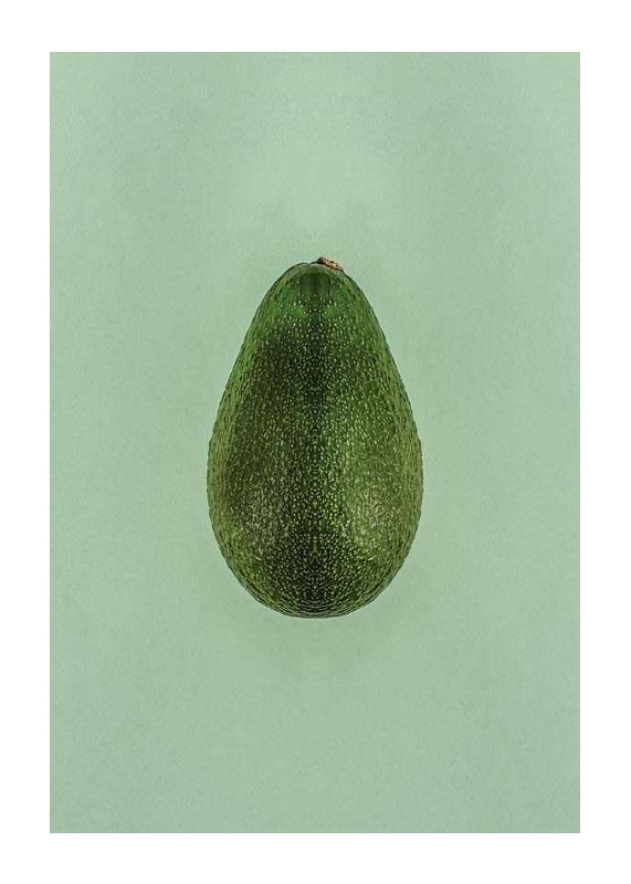 Avocado-1