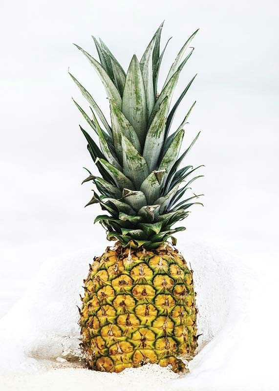 Pineapple-3