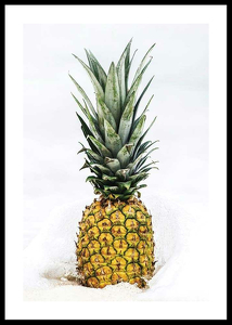 Pineapple-0