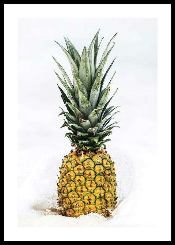 Pineapple-0