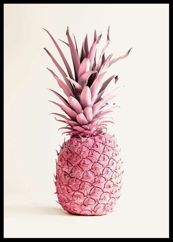 Pink Pineapple-2