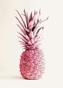 Pink Pineapple-3