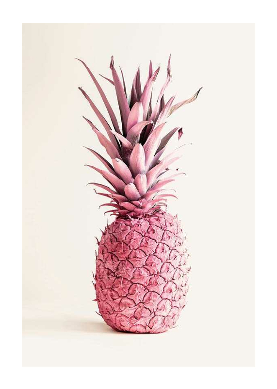 Pink Pineapple-1