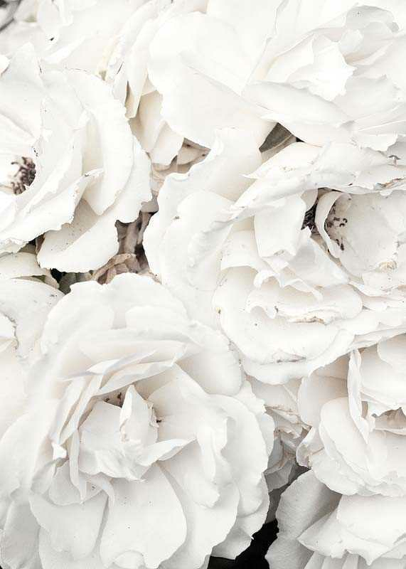 Bouquet Of White Peonies-3