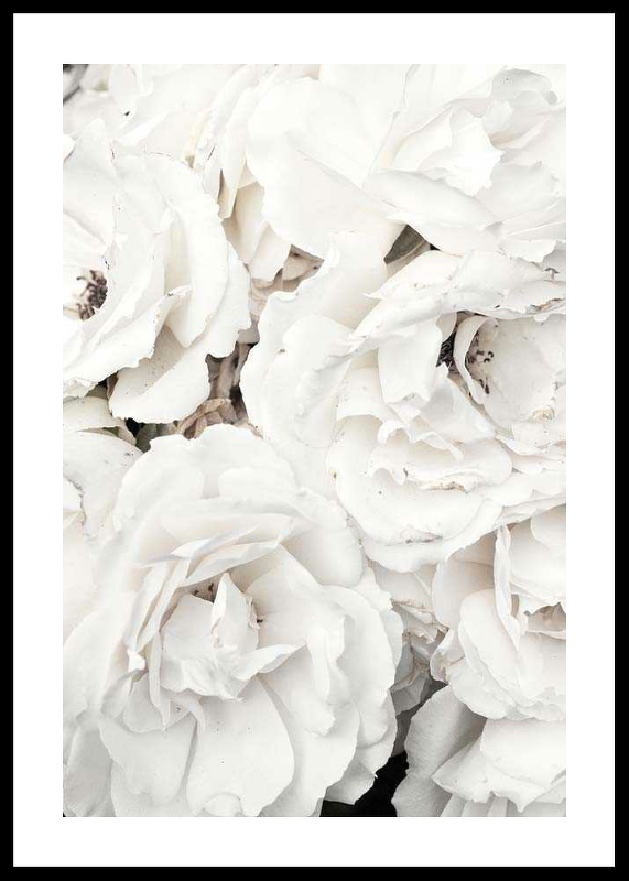 Bouquet Of White Peonies-0