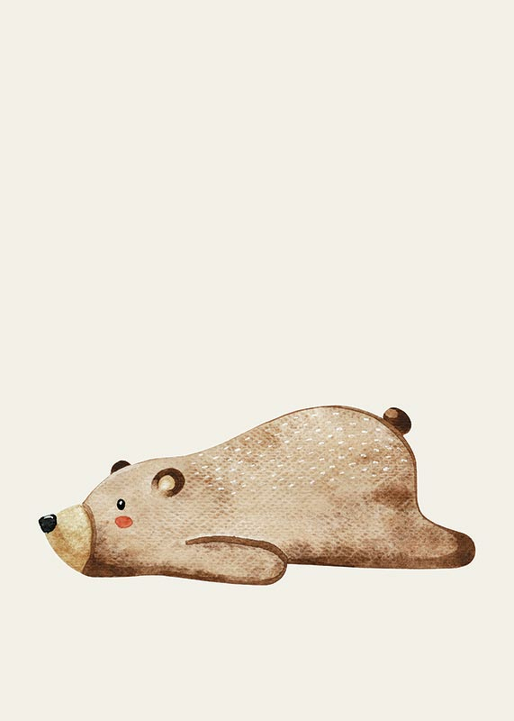 Lazy Bear-3