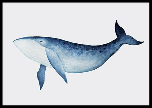 Watercolor Whale-2