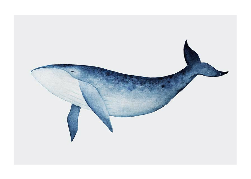 Watercolor Whale-1