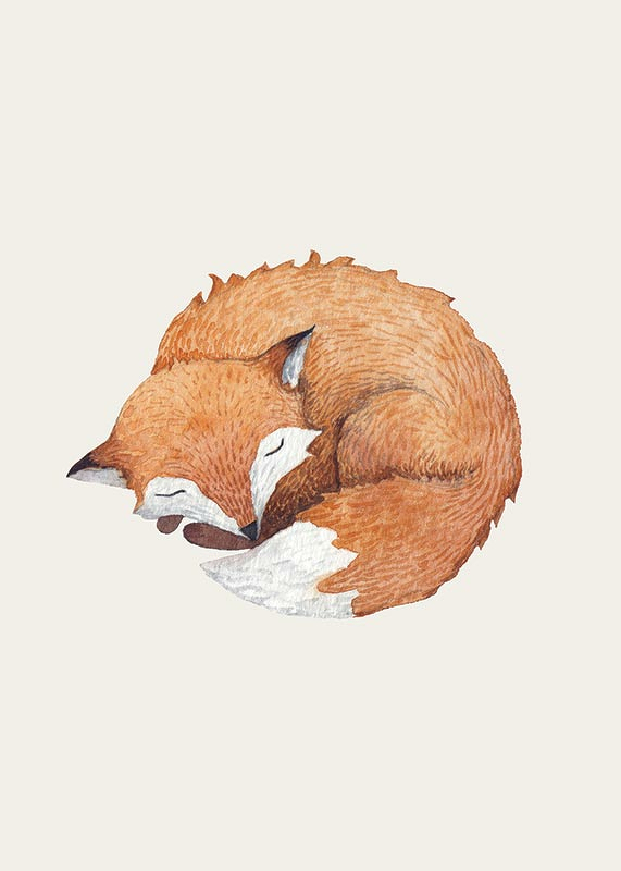 Sleeping Fox-3