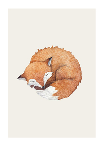 Sleeping Fox-1