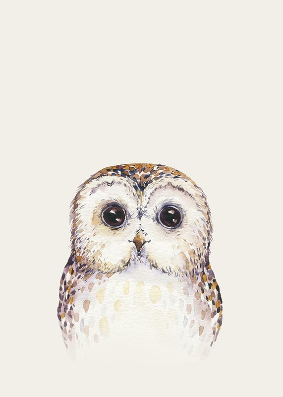 Peekaboo Owl-3