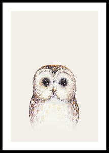 Peekaboo Owl-0