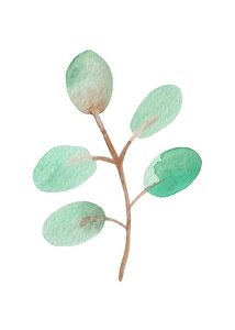 Watercolor Branch-1