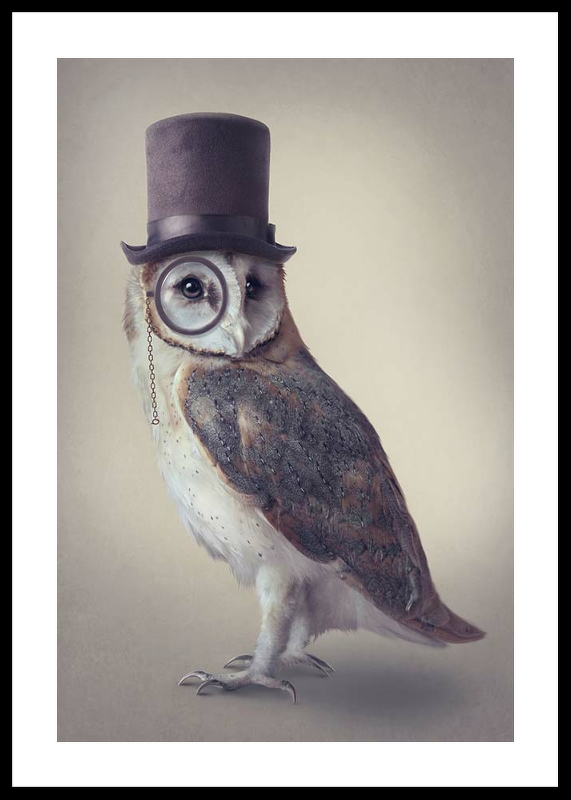Potter Owl-0