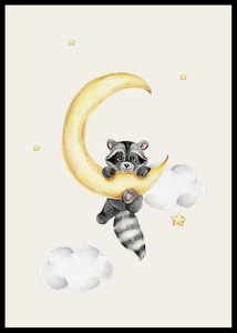 Raccoon And Moon-2