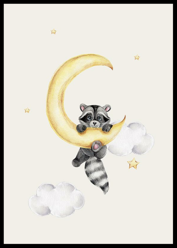 Raccoon And Moon-2
