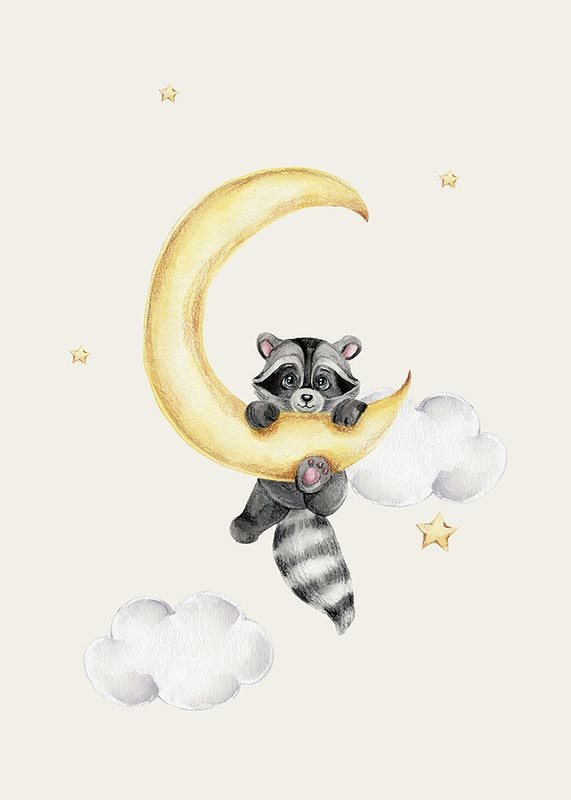 Raccoon And Moon-3