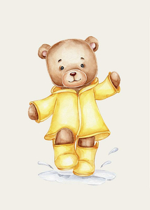 Raincoat Teddy-3