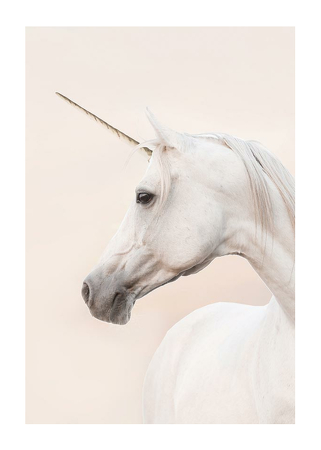 Poster Unicorn