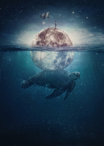Turtle Moon-3