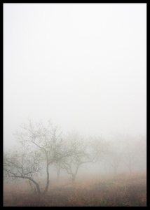 Trees In Fog-2