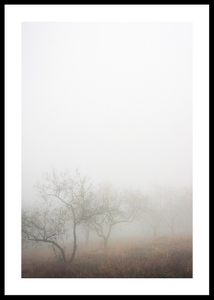 Trees In Fog-0