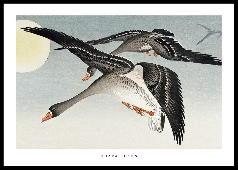Birds At Full Moon By Ohara Koson-0