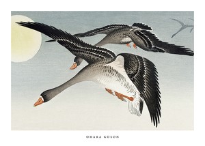 Birds At Full Moon By Ohara Koson-1