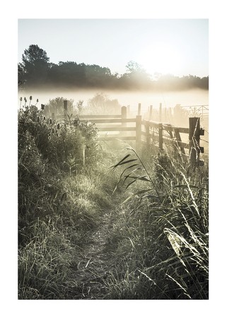 Poster Sunrise Over Countryside
